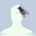 BulletKing adlı kullanıcı