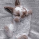 Rabbit_melon adlı kullanıcı